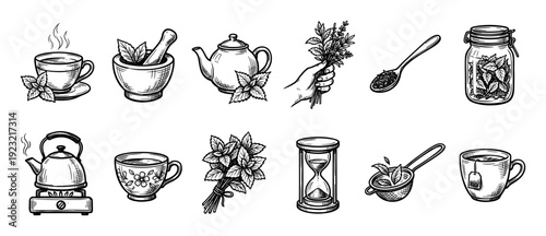 Hand-drawn vintage sketch set of tea elements including a teapot, cup, kettle, mint, and herbs, drawn in a retro engraving style and isolated on a white background