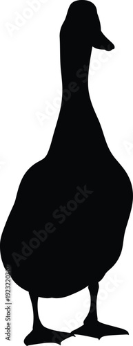Duck or goose silhouette standing upright, bold bird illustration, domestic waterfowl icon, wildlife vector design element