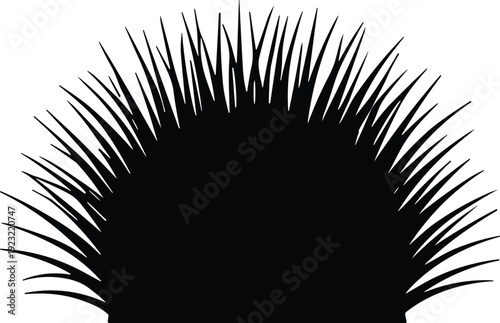 Stylized spiky grass tuft silhouette with radial organic pattern, abstract botanical vector illustration, dynamic nature design element for creative projects