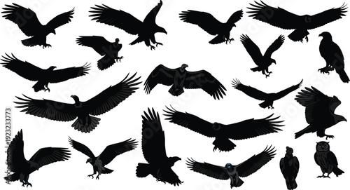 Birds of prey silhouettes vector illustration, eagle hawk vulture owl icons, wildlife flight design, perched animal symbols, nature artwork