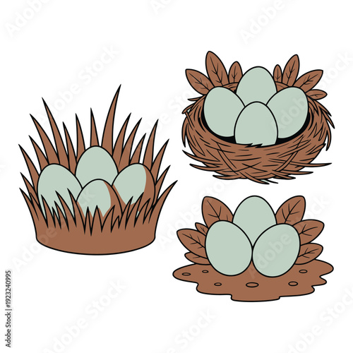 Three distinct nests showcase eggs nestled safely within their natural habitats.