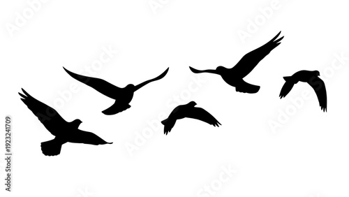 Silhouette of a flock of birds in flight against a white background.