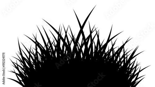 Silhouette of Lush Green Grass Blades Against White Background.
