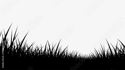 Silhouette of Lush Green Grass Blades Against a Bright White Background.