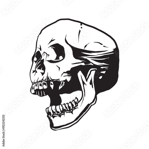 Black and white human skull side view illustration in detailed line art style. Dramatic shadow and bold contrast anatomy drawing isolated on light background, ideal for tattoo, poster, and streetwear 