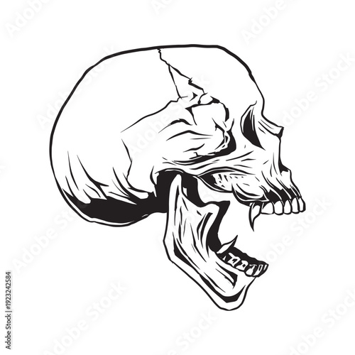Black and white human skull side view illustration in detailed line art style. Dramatic shadow and bold contrast anatomy drawing isolated on light background, ideal for tattoo, poster, and streetwear 