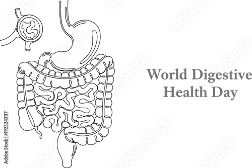 Human digestive system line art illustration for World Digestive Health Day featuring stomach and intestines on white background vector