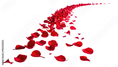 A stream of red rose petals cascades diagonally against a stark black background, creating an evocative and romantic visual