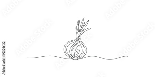 A simple black and white line drawing of an onion bulb sitting on a dashed ground line