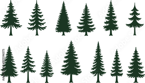 Evergreen tree silhouettes in multiple styles, bold vector illustration for nature themes, decorative icons, educational projects, and environmental designs