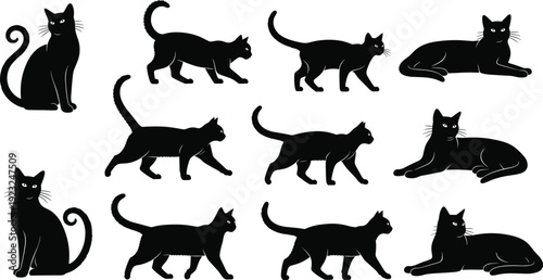Ten black cat silhouettes in various poses, sitting, walking, lying down, feline behavior illustration for design decoration and anatomy study