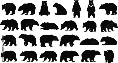 Black bear silhouettes illustration, collection of multiple poses and stances, standing, walking, sitting, bold minimalistic vector graphic art