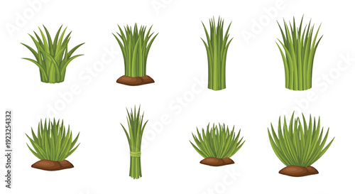 Seagrass vector bundle collection of green grass elements