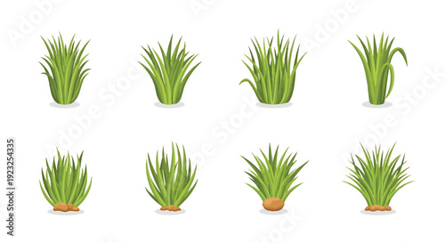 Seagrass vector illustration with green grass clumps set