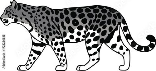 Leopard jaguar walking illustration, spotted big cat vector artwork, wildlife predator design graphics, jungle nature icons, decorative animal symbol collection