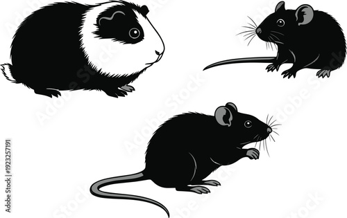 Rodent silhouettes illustration, mouse guinea pig vector artwork, small animal design graphics, wildlife icons, pet symbol collection
