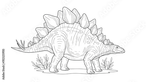 Detailed black and white line art drawing of a stegosaurus dinosaur walking among small plants, perfect for coloring activities.