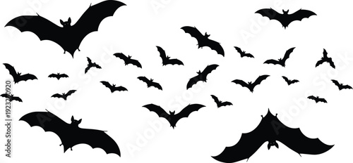 Flying bats swarm silhouette vector illustration, Halloween night design, black bold style, wildlife motion graphic, spooky atmosphere art