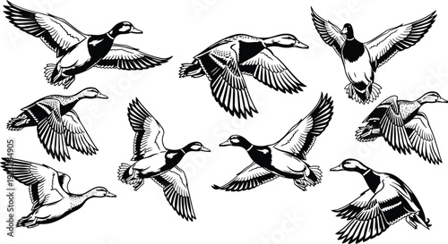 Flying ducks vector illustration, bird silhouette design, black white wildlife graphic, motion feathers detail, nature art, dynamic flight pattern