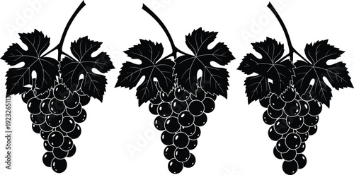 Black silhouette grape bunch vector illustration with detailed leaves and stems, elegant vineyard fruit design for wine, nature, and agriculture themed artwork