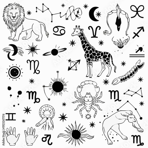 Mystic Zodiac & Celestial Vector Bundle: Astrology Signs, Constellations, and Palmistry Hand Icons
