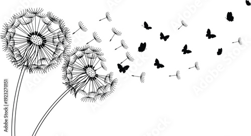 Dandelion and butterfly silhouettes illustration, nature transformation vector artwork, floral design graphics, freedom change icons, decorative symbol collection