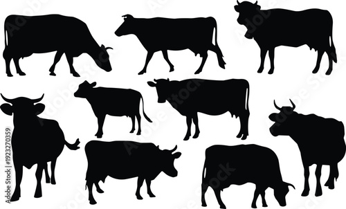 Black Cow Silhouettes Set Including Bull Grazing Standing and Dairy Cattle Vector Icons Isolated on White Background for Farm Livestock Branding and Ranch Design