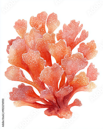 Wallpaper Mural Watercolor Sea Animals and seaweed Set – Underwater Clipart Collection Torontodigital.ca