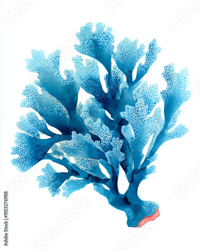 Wallpaper Mural Watercolor Sea Animals and seaweed Set – Underwater Clipart Collection Torontodigital.ca