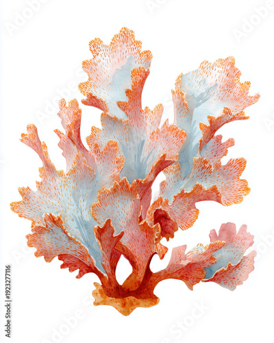 Wallpaper Mural Watercolor Sea Animals and seaweed Set – Underwater Clipart Collection Torontodigital.ca