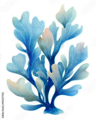 Wallpaper Mural Watercolor Sea Animals and seaweed Set – Underwater Clipart Collection Torontodigital.ca