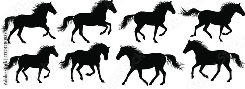 Seven black horse silhouettes walking and trotting, equine animals in motion with flowing mane and tail, vector illustration design