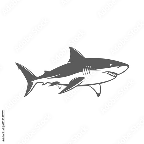 Powerful shark illustration showcasing aquatic predator in ocean environment.