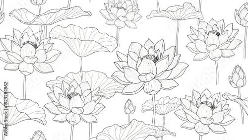 Lotus Flowers Illustration Black White.