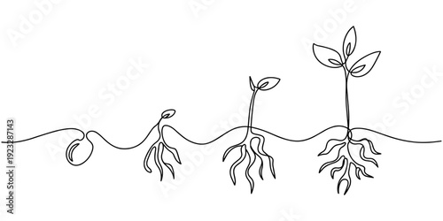 Continuous one line drawing of a young plant sprout with two leaves growing from the ground. Plant drawing with editable black stroke on white background. Vector illustration.