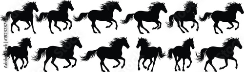 Galloping horse silhouette vector illustration set, animal motion drawings, black and white line art, equine wildlife design artwork