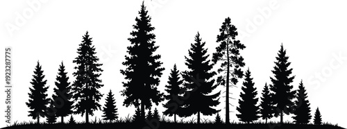 WebSilhouette forest landscape, pine trees, fir woodland, natural scenery, evergreen forest, outdoor nature, wilderness background, tranquil environment, eco illustration, green design