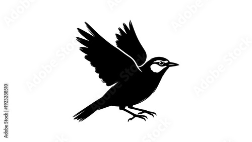 Black Bird Silhouette in Flight.