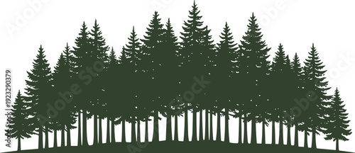 Dense forest silhouette vector illustration, coniferous pine fir trees design, dark green nature graphic, woodland ecosystem, environmental art