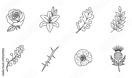 Hand drawn stylized outlines of organic plant life elements including various flowers leaves and stems useful for minimalist graphics wedding invitations or natural themed decorations
