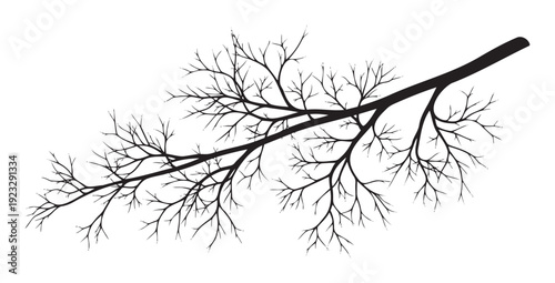 A solitary bare tree branch with numerous delicate twigs extending outward, perfect for adding a natural organic touch to seasonal greetings or ecological themed presentations.