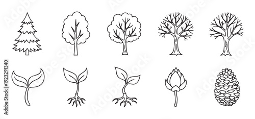 Collection of diverse botanical outlines featuring various trees, young seedlings, leafy sprouts, a flower bud, and a pine cone, ideal for educational resources and naturethemed graphical