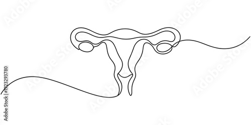 Continuous one line drawing of women's Uterus and Ovary. Single line art Female reproductive system. Vector illustration, One continuous line drawing on white isolated background.
