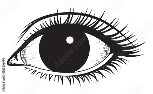 Expressive stylized human eye graphic with prominent long eyelashes and a large dark pupil, ideal as a design resource for various visual communication and digital media projects