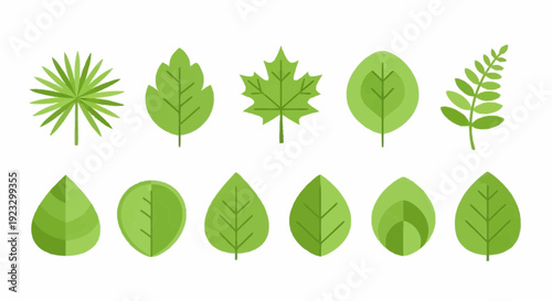 Collection of various green leaves and foliage illustrations displayed in a grid arrangement