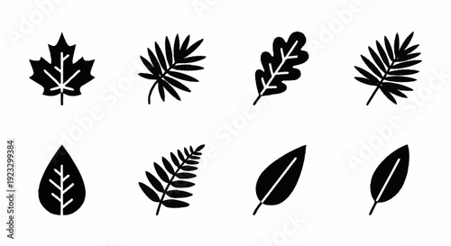A collection of various leaf silhouettes in a grid pattern showcasing different shapes and textures