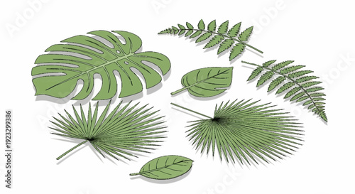 Assorted tropical leaves including ferns and monstera leaves arranged in a decorative pattern on a clean background