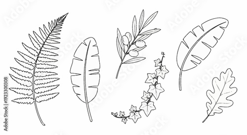 Various leaves and branches illustrated in a minimalist style from different viewpoints showcasing nature's diversity