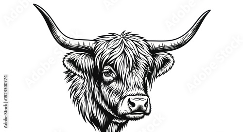Highland Cow Head Illustration, Furry Scottish Cattle with Long Horns