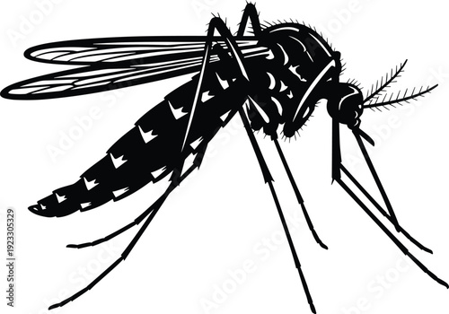 Mosquito Silhouette Detailed Black Insect Vector Illustration